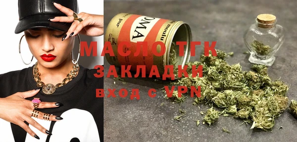 индика Абинск