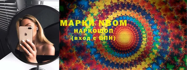 индика Абинск