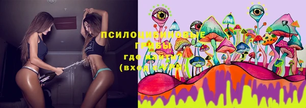 индика Абинск